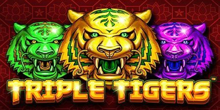 Triple Tigers: Strategi, Pola, dan Keberuntungan yang Terungkap!
